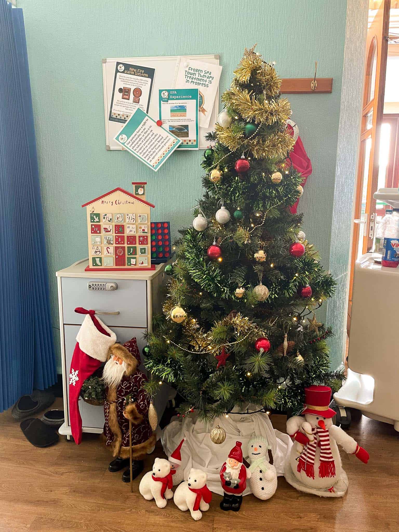 IPU xmas 1