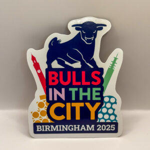 Bulls in the City magnet