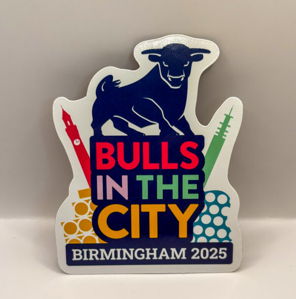 Bulls in the City magnet