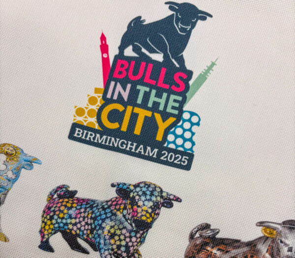 Bulls in the City large bull tea towel