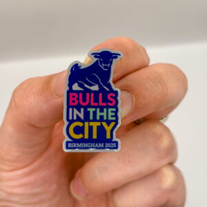 Bulls in the City pin badge