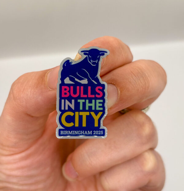 Bulls in the City pin badge