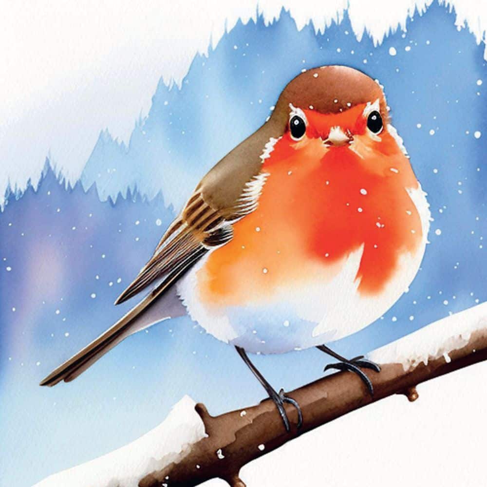 Robin Hello Christmas Card